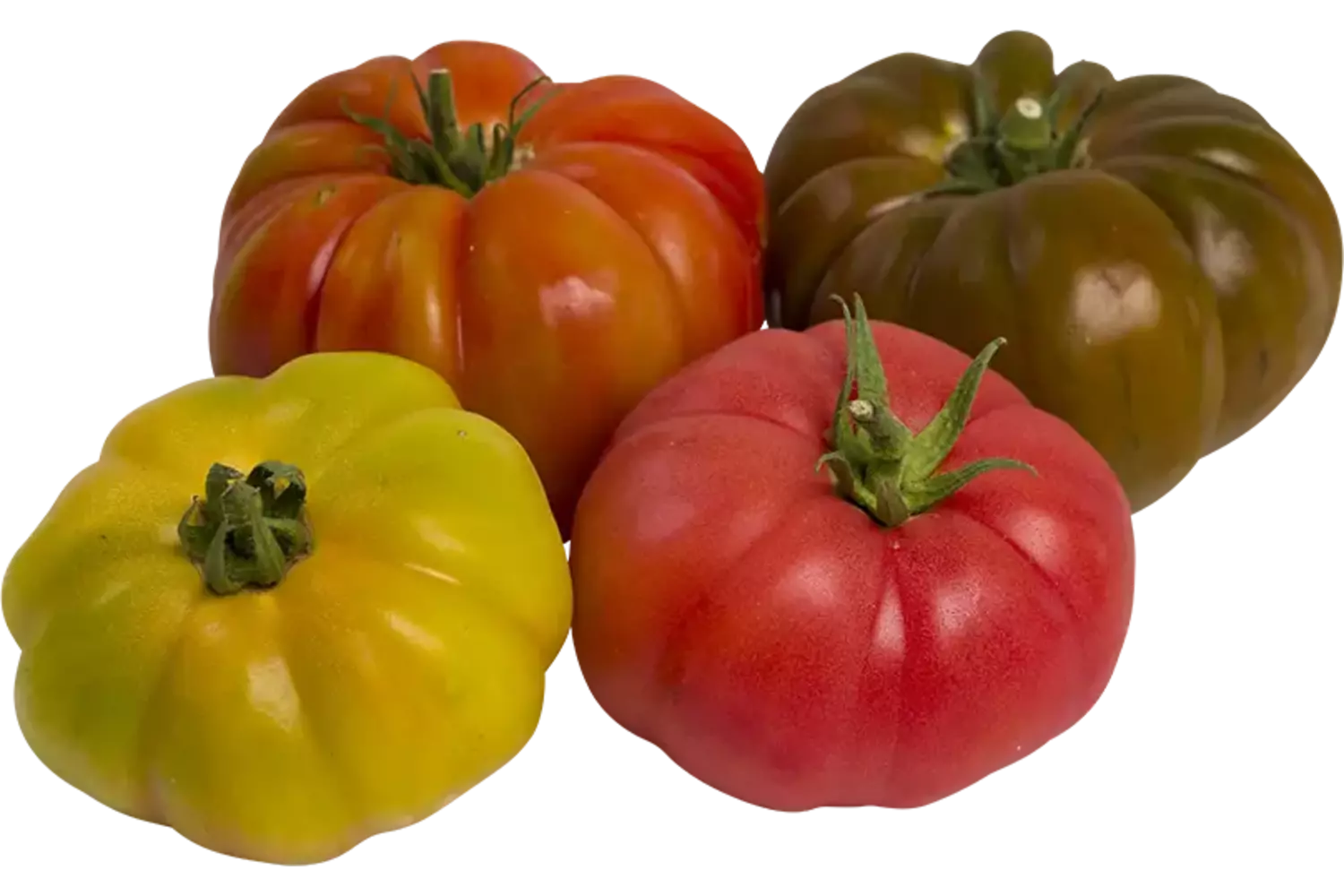 Heirloom tomaten kist 3 kilogram